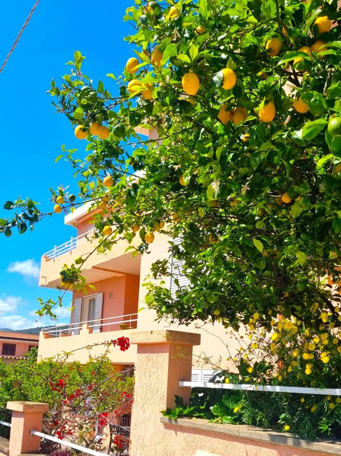 Casa Vacanze Mura Cala Gonone Exterior foto